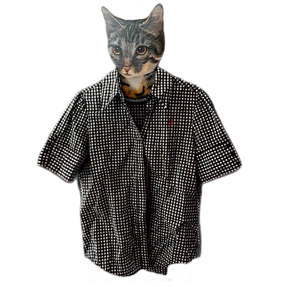 Cruel Girl Brand Gingham Short Sleeve Button Up